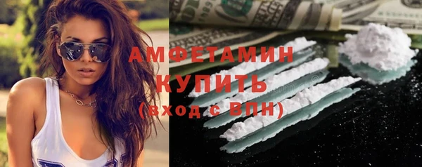 мет Алексин