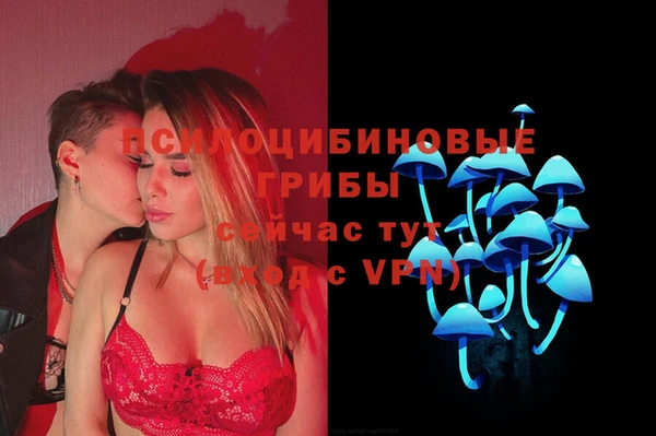 мет Алексин