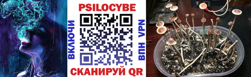 ОМГ ОМГ вход  Дмитров  площадка Telegram  Псилоцибиновые грибы мицелий 