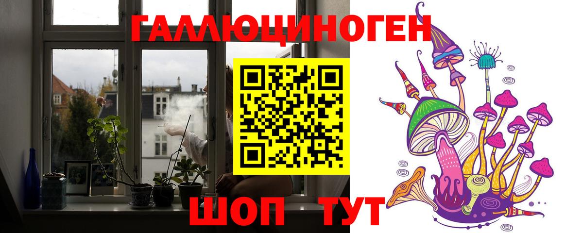 Псилоцибиновые грибы мухоморы Дмитров