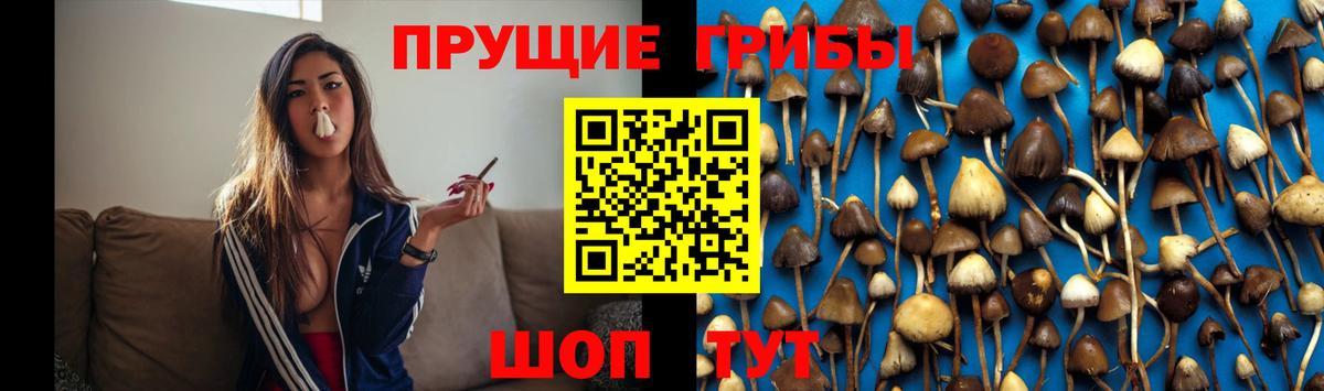 Галлюциногенные грибы мицелий  Вход с VPN  Дмитров 