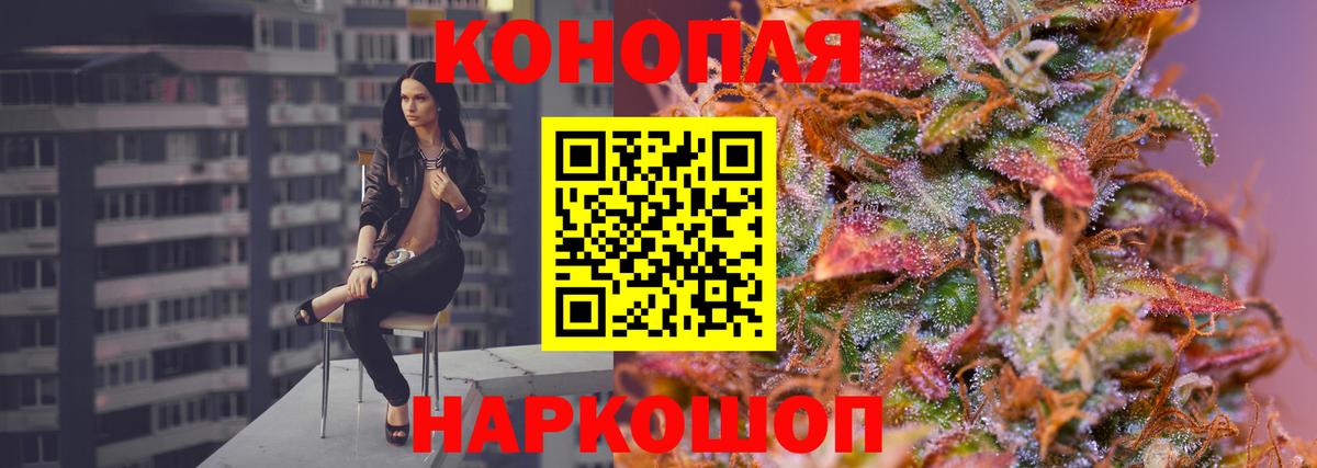 Канабис план  Конопля White Widow  Дмитров  Бошки Шишки индика  Вход с VPN  Бошки Шишки тримм 